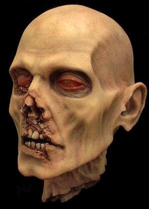 Zombie Head Model Kit