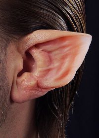 ear prosthetic